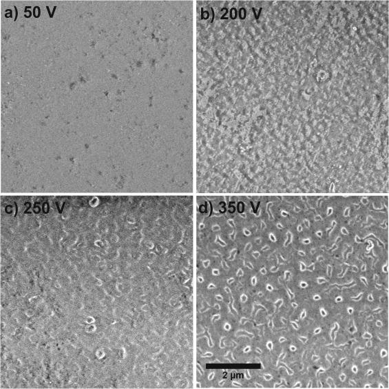 2017-Electronic and structural characterization of barrier-type amorphous aluminium oxide.jpg